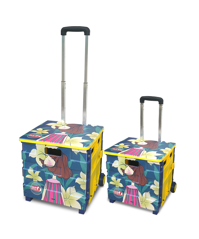 Wholesale Shopping Foldable Luggage Food Beach Tool Box Trolley Plastic Garden Cart